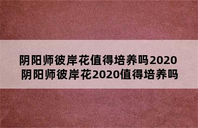 阴阳师彼岸花值得培养吗2020 阴阳师彼岸花2020值得培养吗